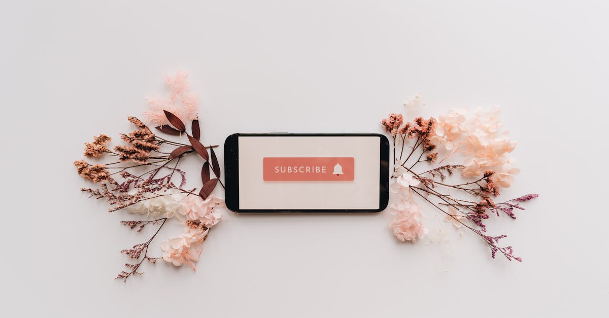 Minimalist flatlay featuring a smartphone with a subscribe screen, surrounded by delicate dried flowers.